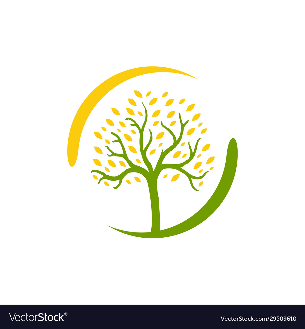 Grün Blatt Baum Logo Design Natur Grafik