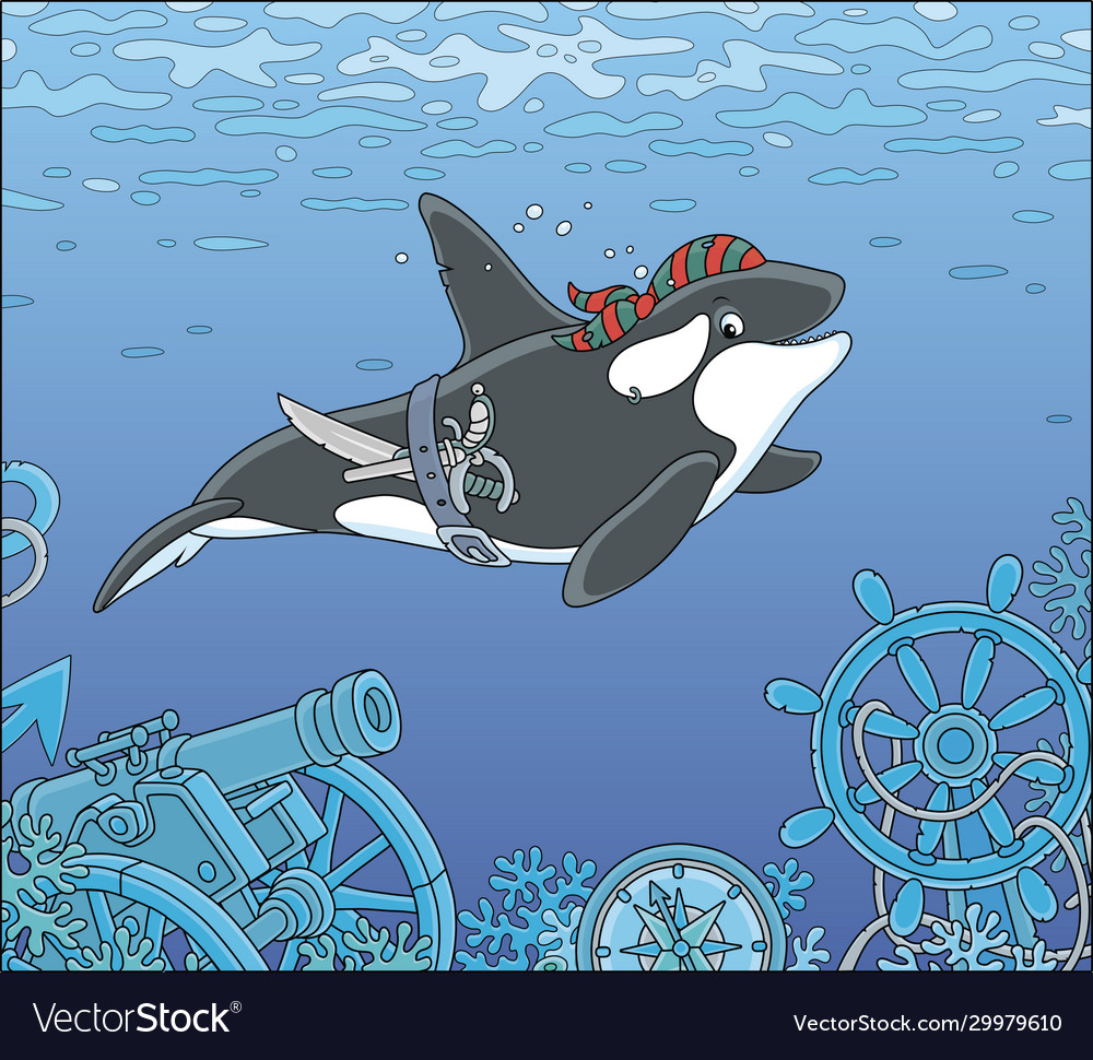 Killer whale pirate