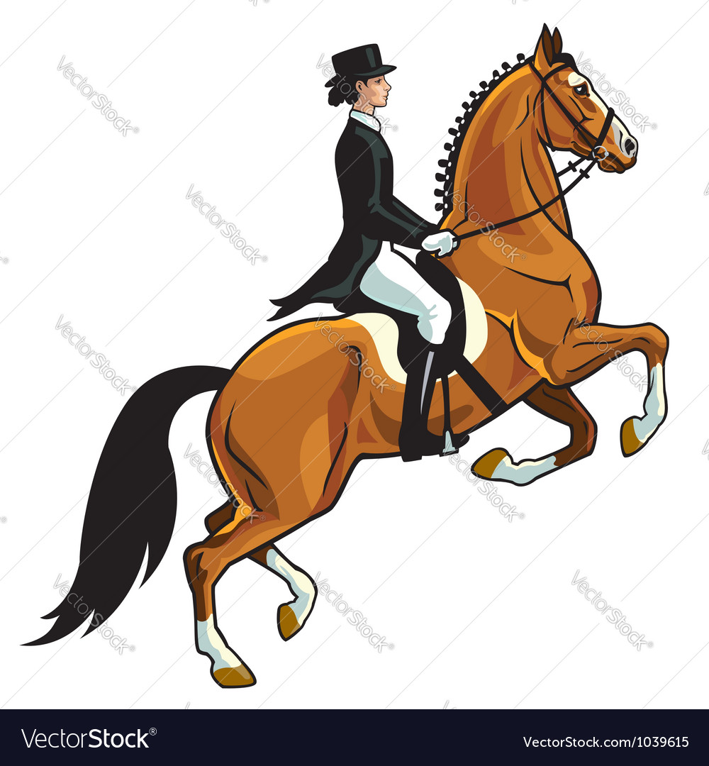 Dressage rider Royalty Free Vector Image - VectorStock