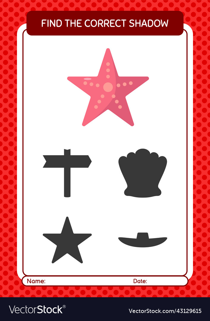 Find the correct shadows game with seastar Vector Image Find the correct shadows game with seastar