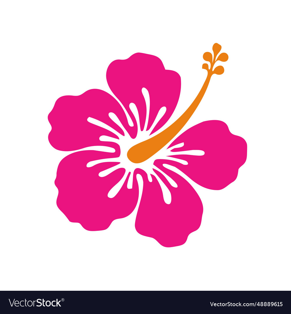 Hibiscus flower image Royalty Free Vector Image