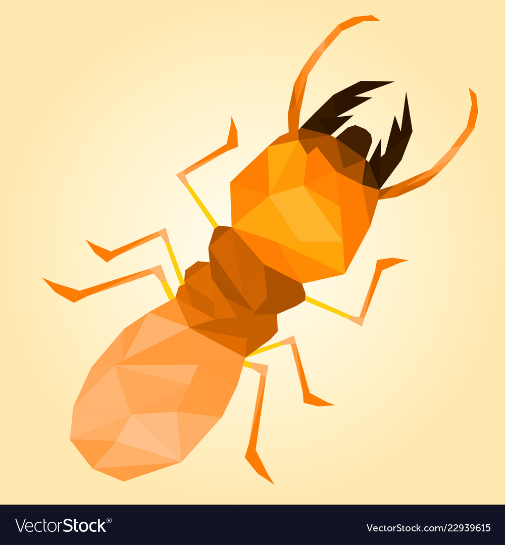 Low poly termite with orange background