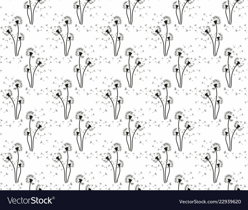 Background with field dandelion