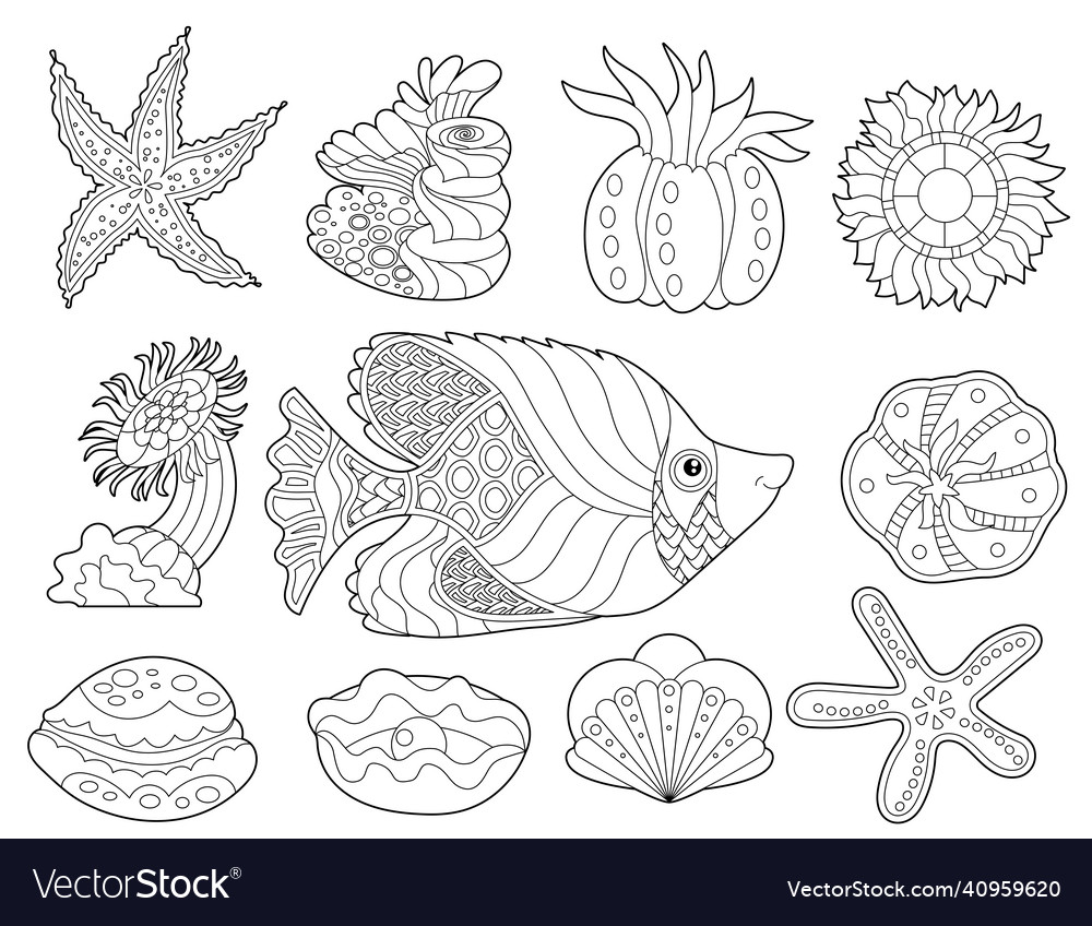 Contour linear set with fish and ocean corals