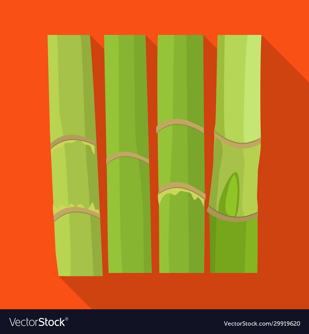 Isolated object stem and sugar icon web
