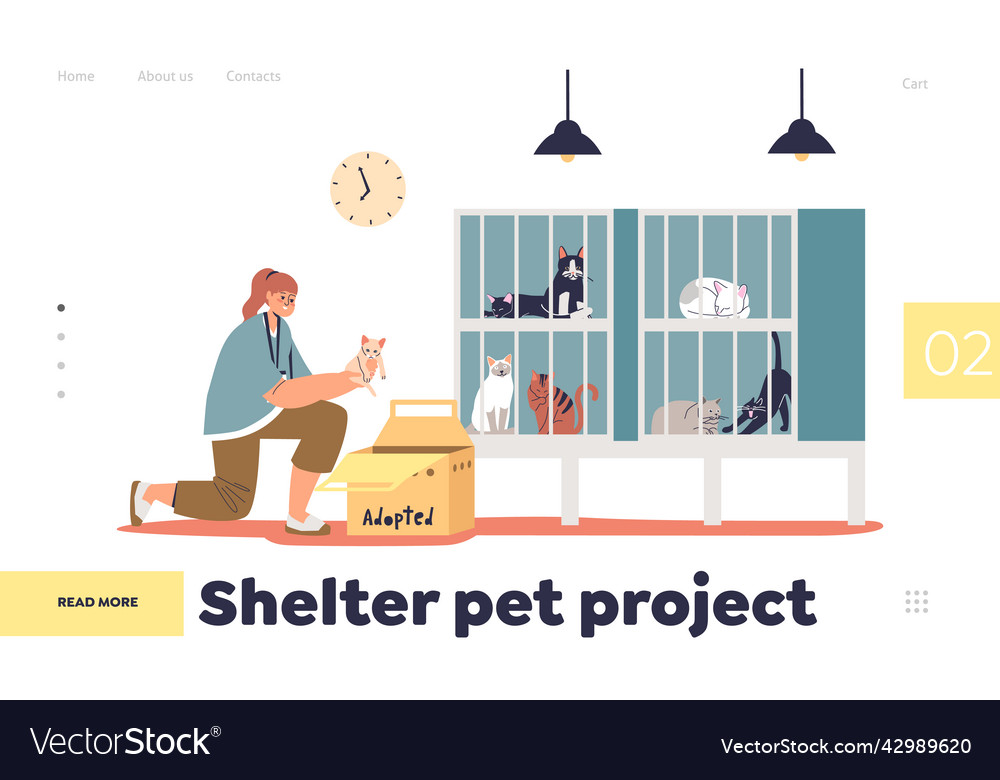 Shelter fashion pet project