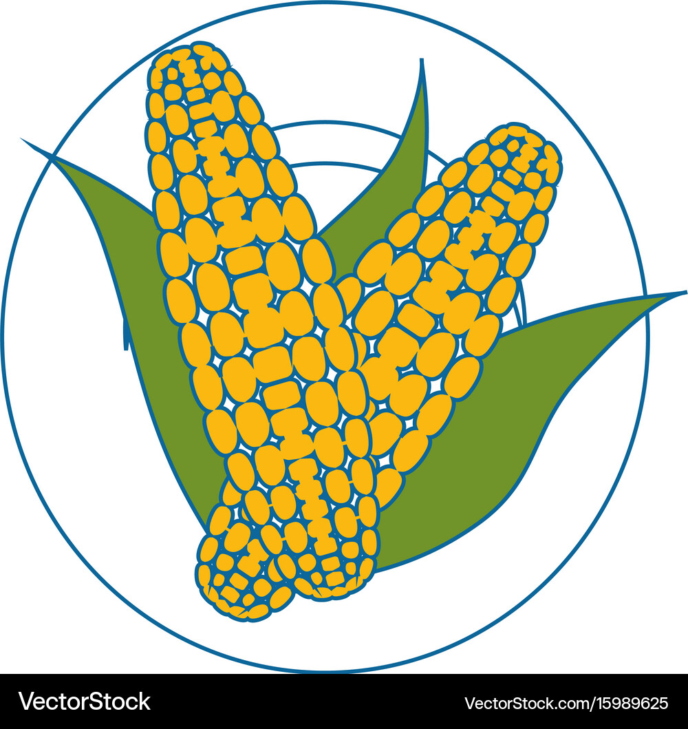 Corn vegetable icon Royalty Free Vector Image - VectorStock