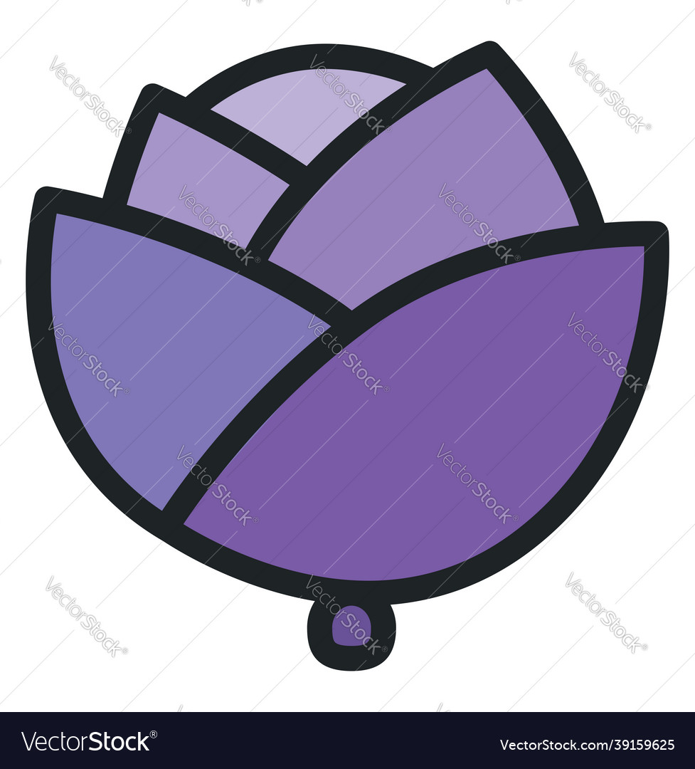 Purple cabbage on a white background Royalty Free Vector