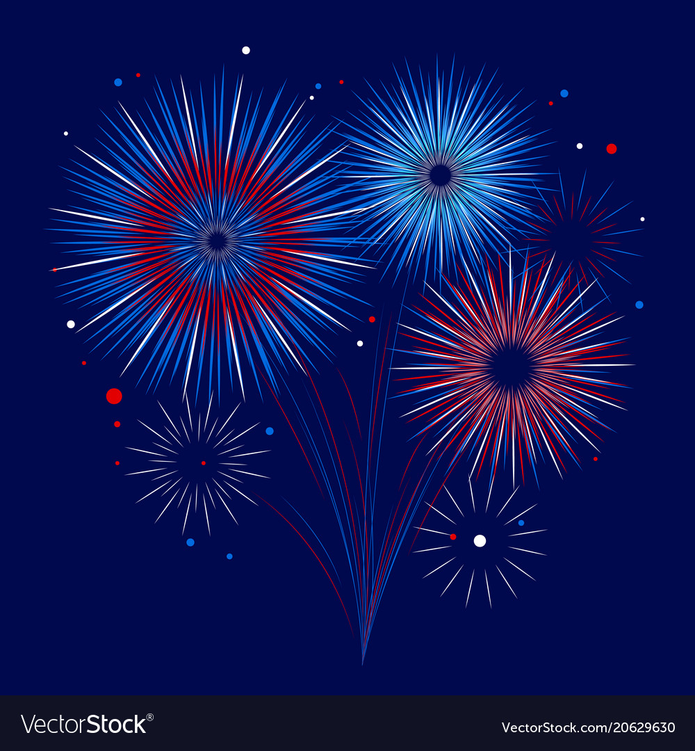 Holiday firework independence day of america Vector Image