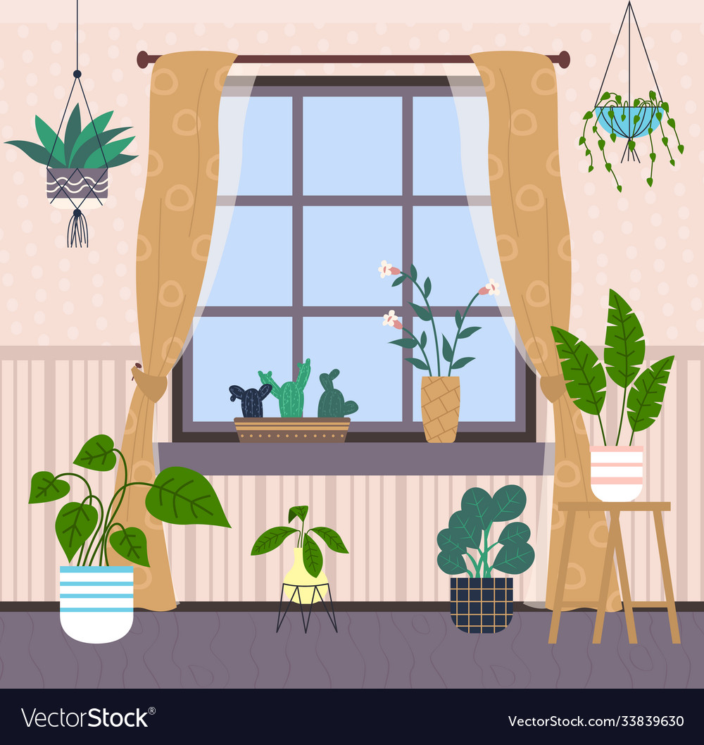 Many potted decorative plants window