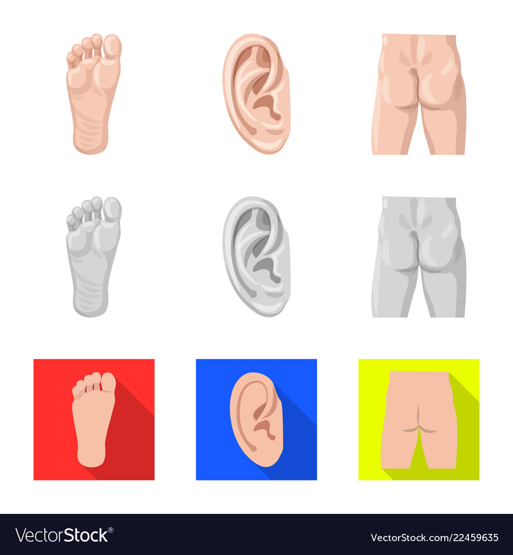 Design of human and part icon set