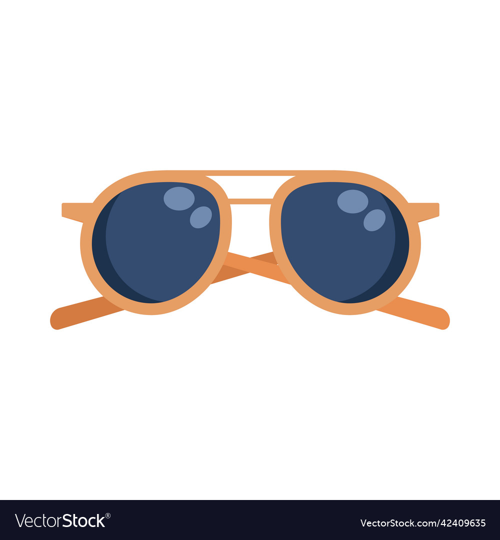 Summer sunglasses accessory Royalty Free Vector Image