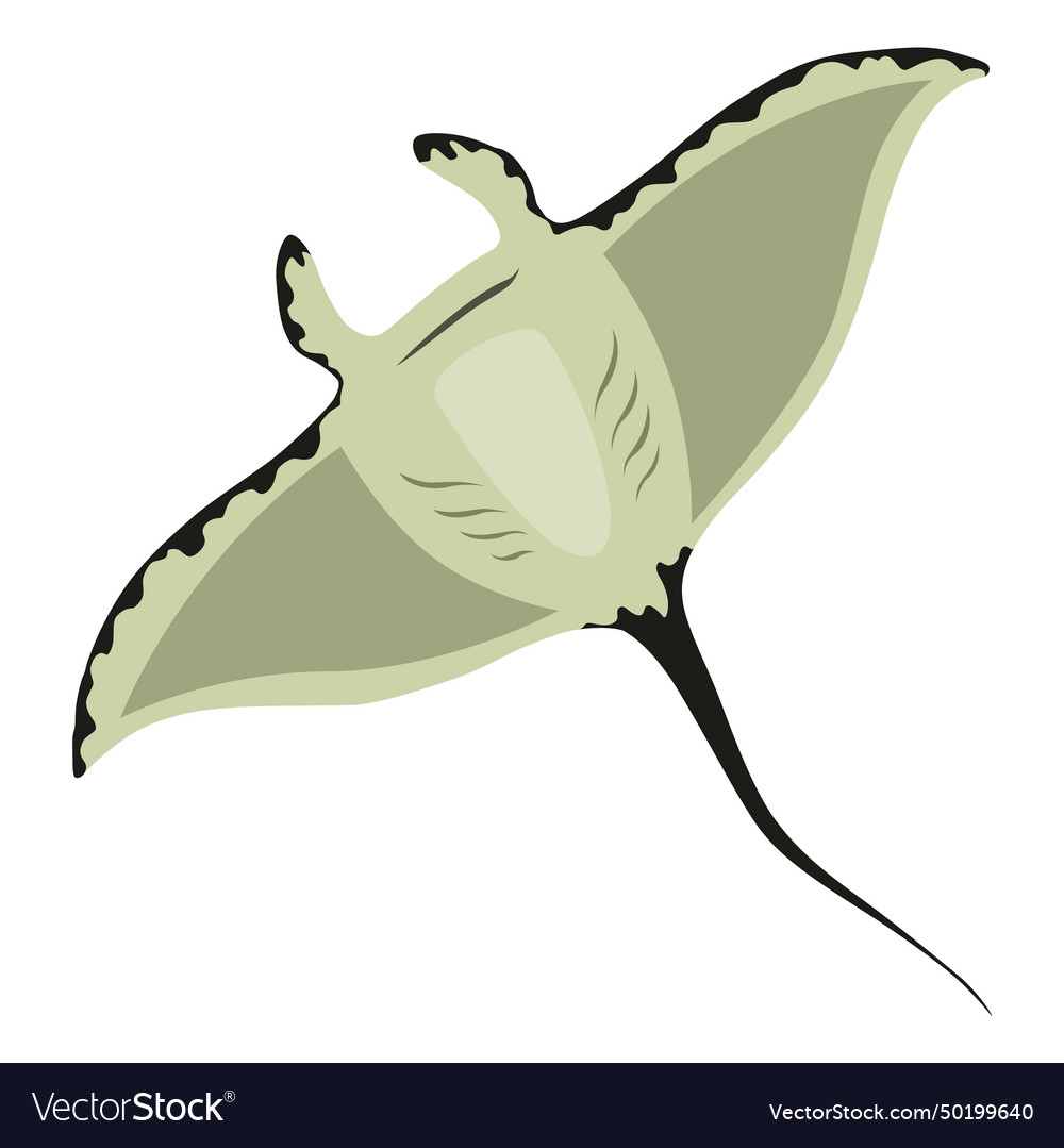 Stingray fish sea animal floating underwater Vector Image