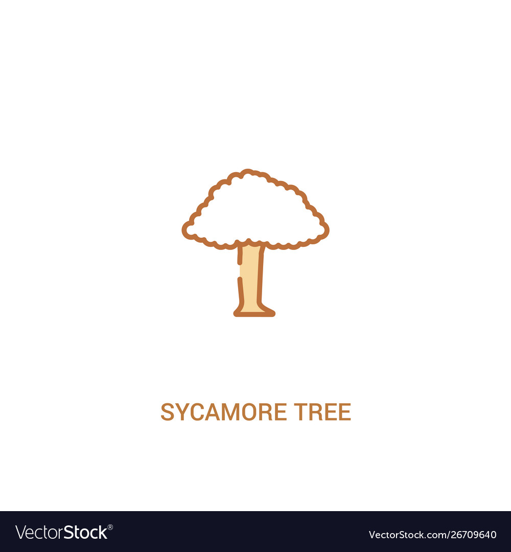 Sycamore tree concept 2 colored icon simple line Vector Image