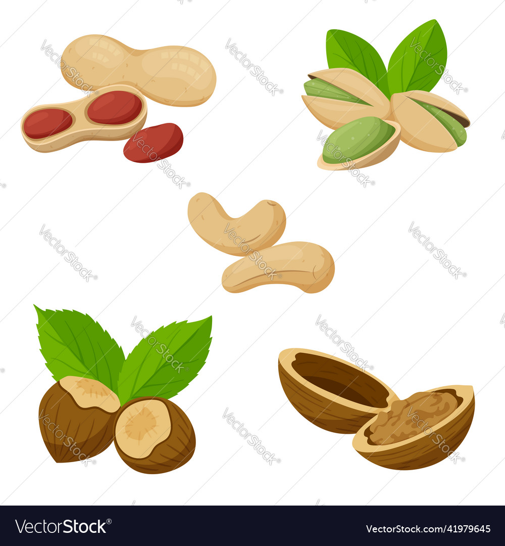 A set of different nuts