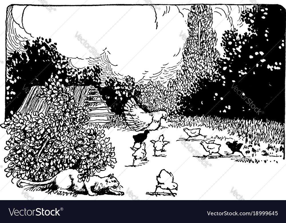 Katzenjagd Küken Vintage