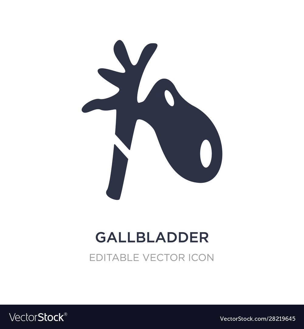 Gallbladder icon on white background simple