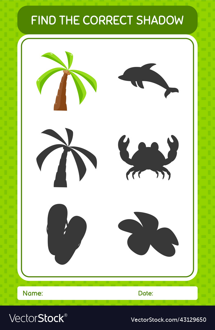Find the correct shadows game with coconut tree vector image Find the correct shadows game with coconut tree