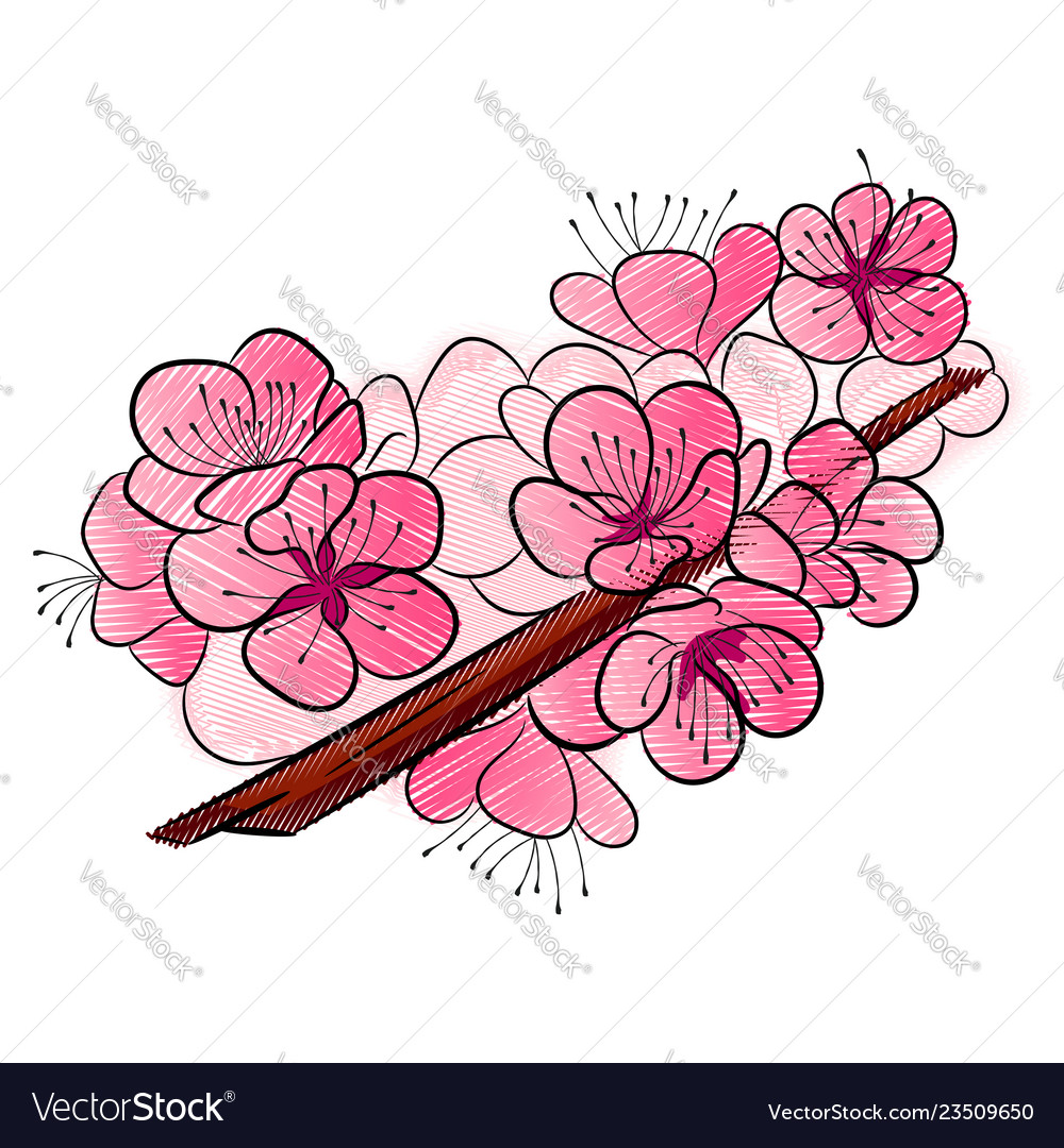 Sakura a curved branch with delicate flowers