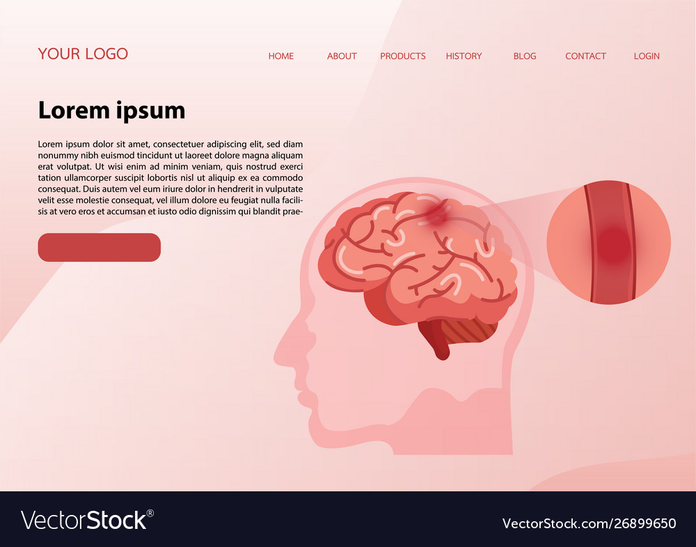 Web banner design template vector image Web banner design template