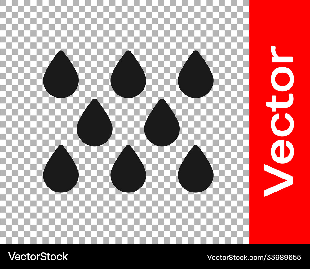 Black Water Drop Icon Isolated On Transparent Vector Image