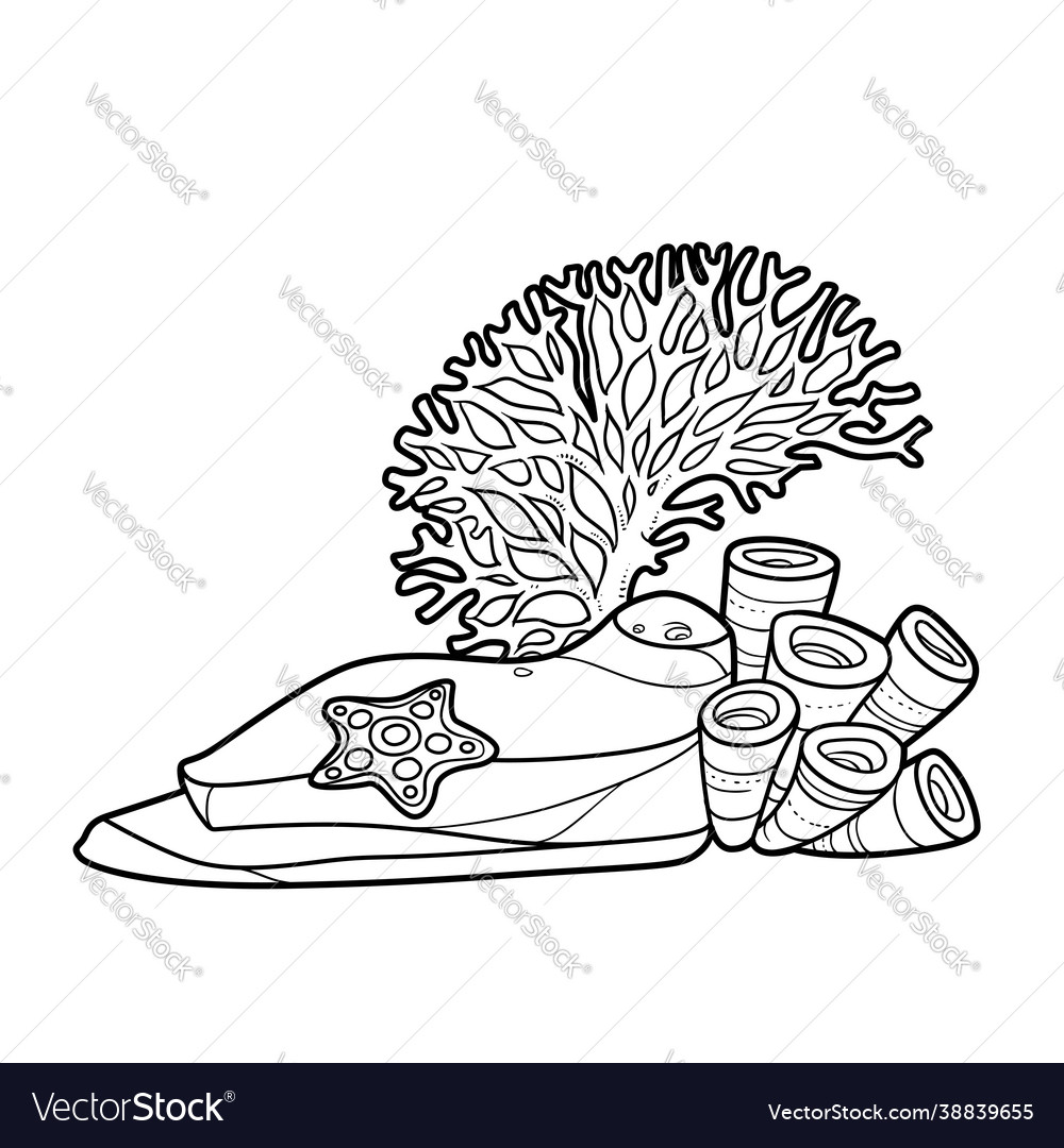 Sandstone on which corals and sea sponge grow Vector Image