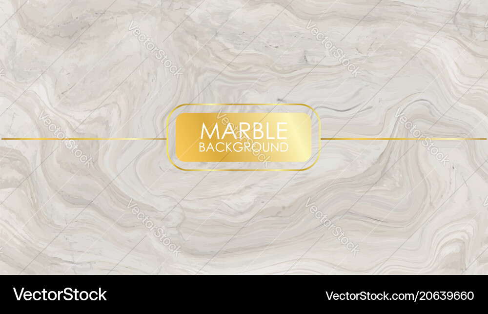 Marble texture Royalty Free Vector Image - VectorStock