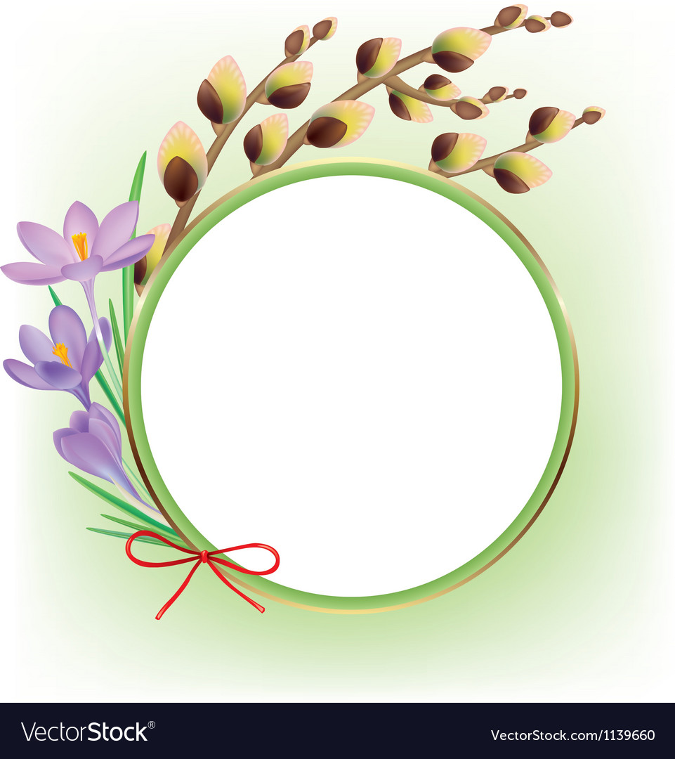 Spring composition