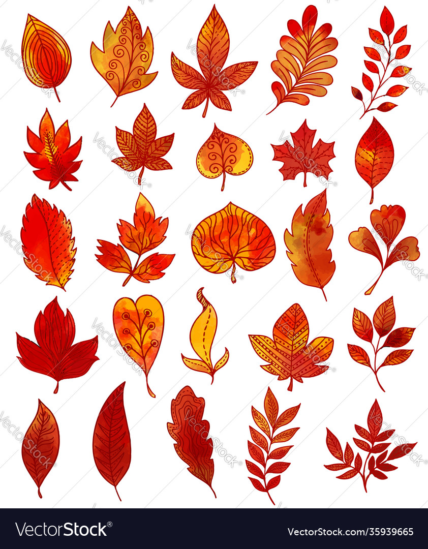 Autumn foliage hand drawn collection