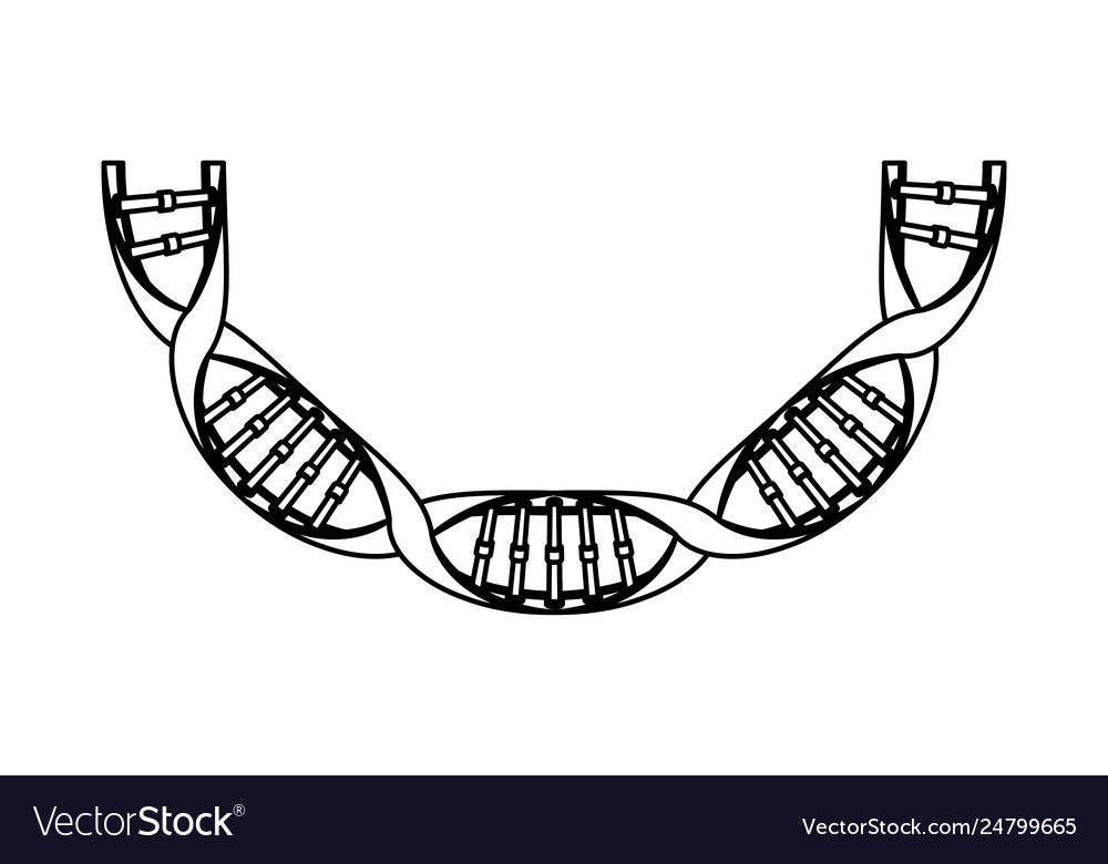 Dna chain with curve science icon