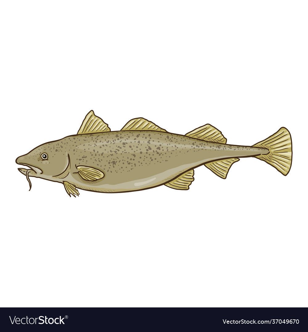 Cartoon cod fish