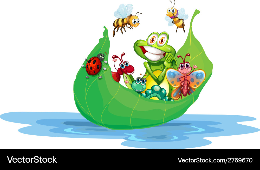 Insects Royalty Free Vector Image - VectorStock