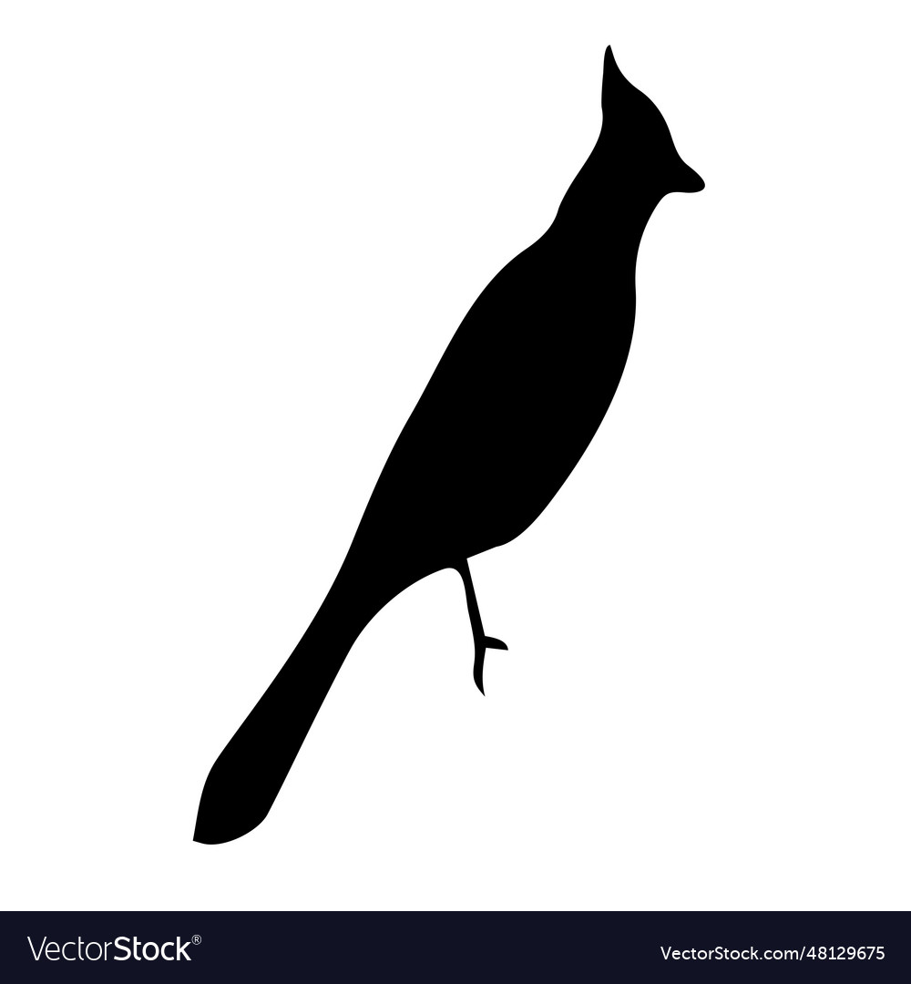 Bird image