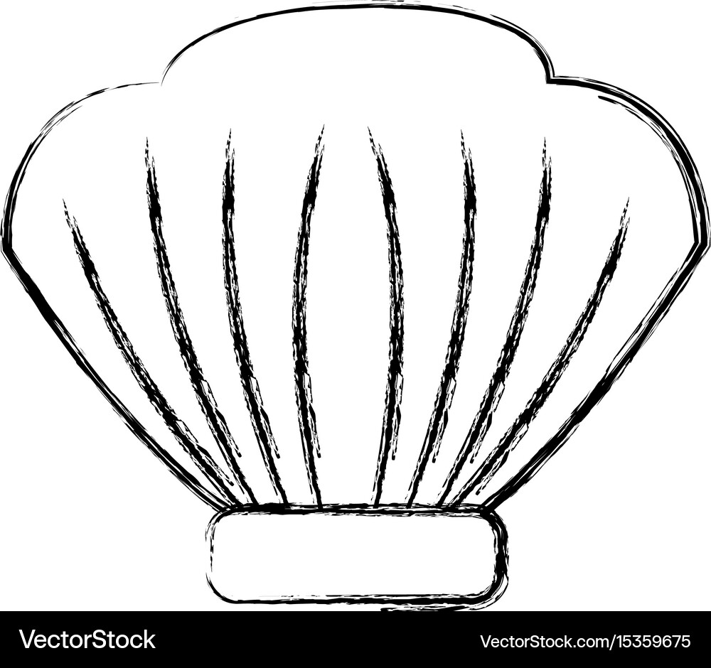 Seashell icon image Royalty Free Vector Image - VectorStock