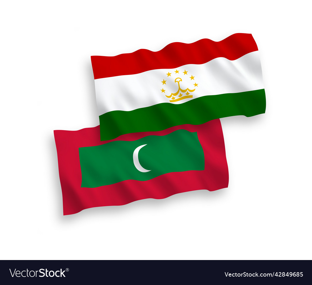 Flaggen von Tajikistan und Malediven auf einem weißen vector image Flaggen von Tajikistan und Malediven auf einem weißen