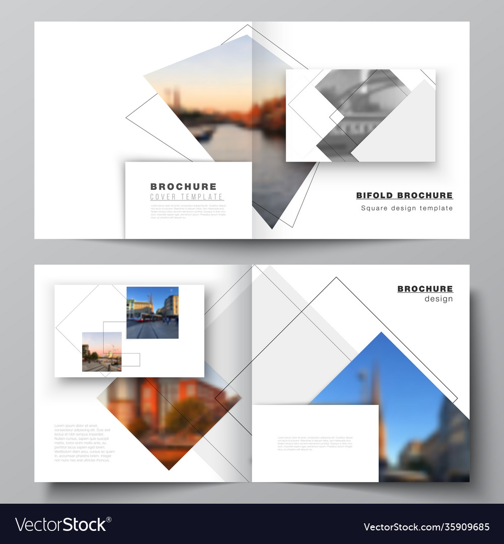 Layout two covers templates Royalty Free Vector Image