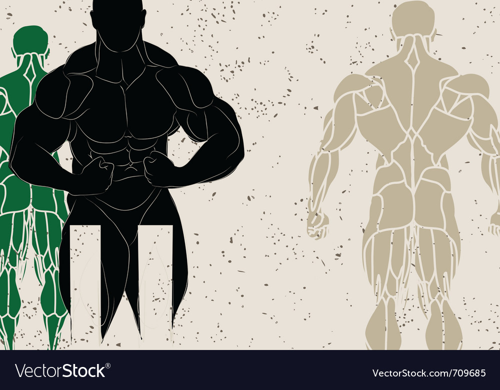 Muscular Man Silhouette