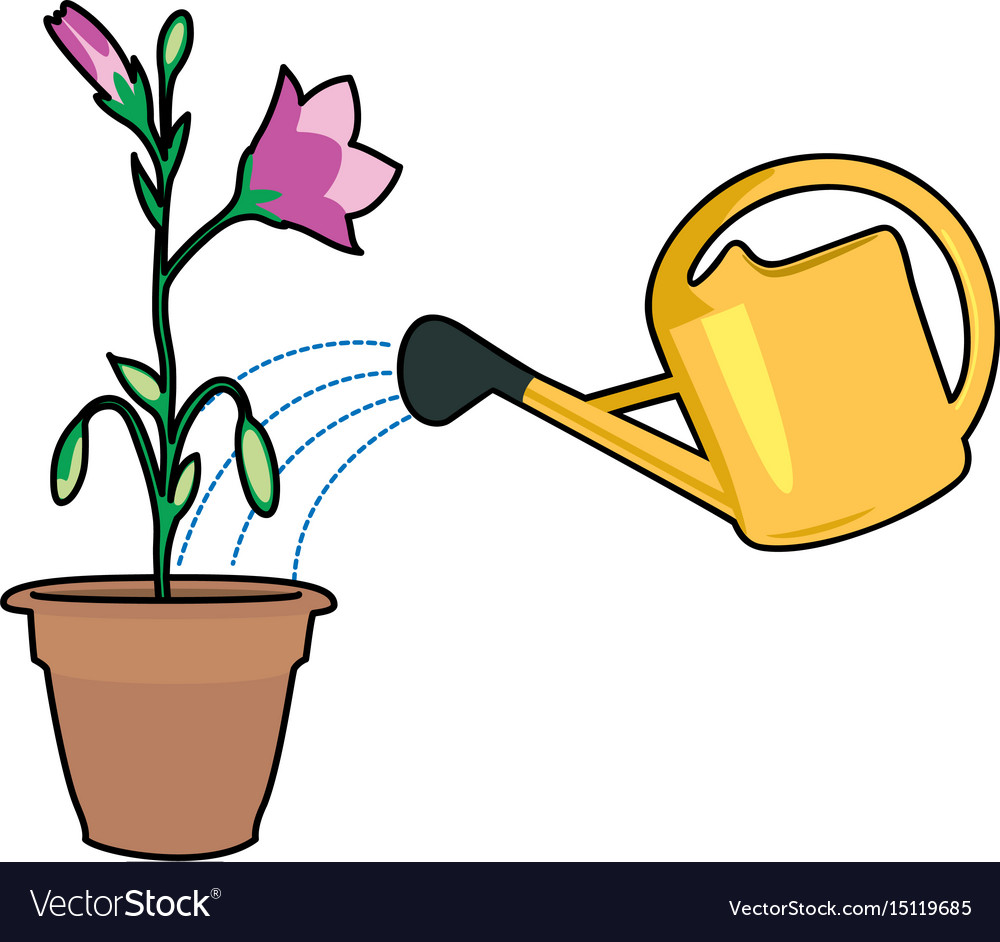 Plants And Watering Can Royalty Free Vector Image