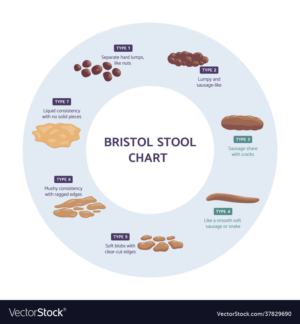 Bristol Stool Chart Tool For Faeces Type Classification Vector