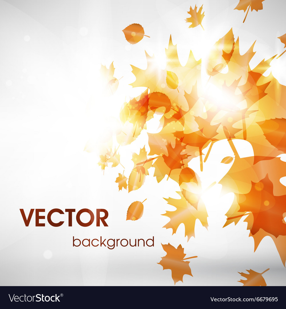 Abstract autumn background