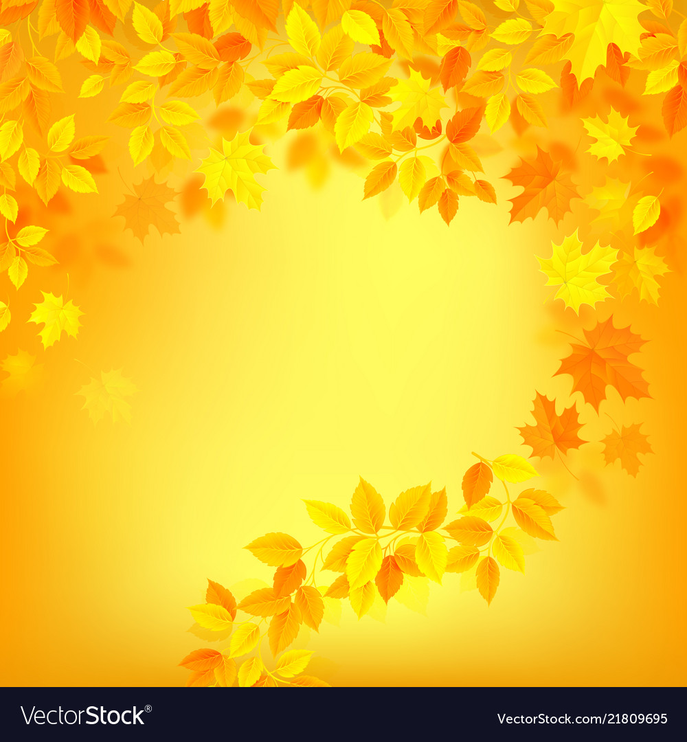 Autumn decoration color background with yellow Vector Image