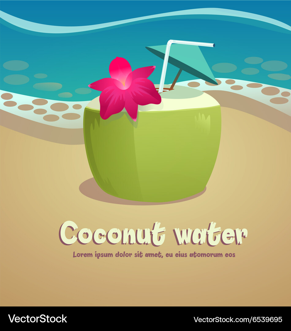 Coconut Royalty Free Vector Image - VectorStock