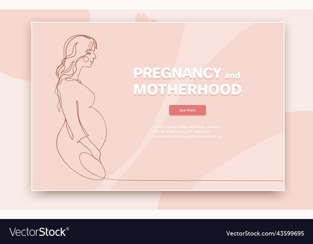 Pink tender banner of pregnancy and motherhood vector image Pink tender banner of pregnancy and motherhood