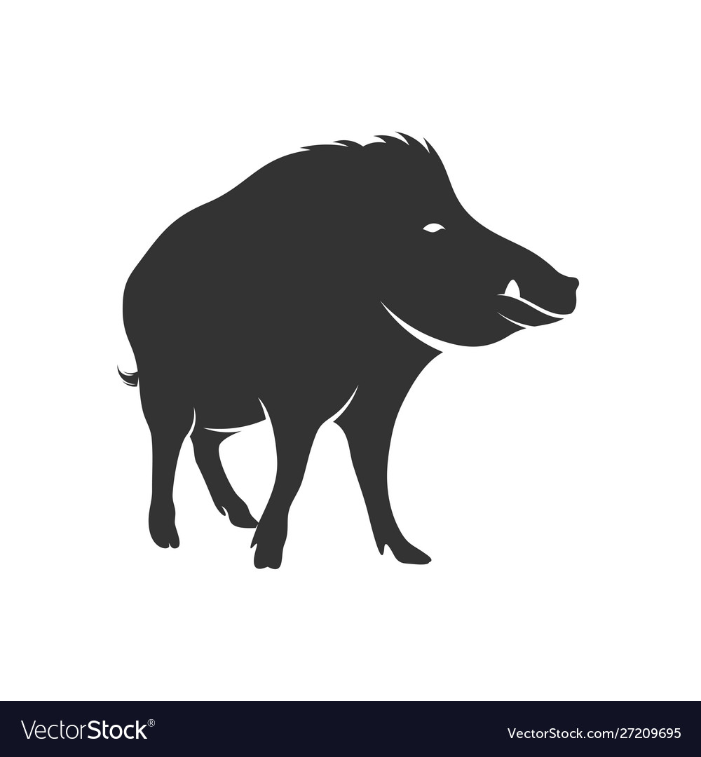 Wild Boar Logo Design Template Icon Symbol Vector Image