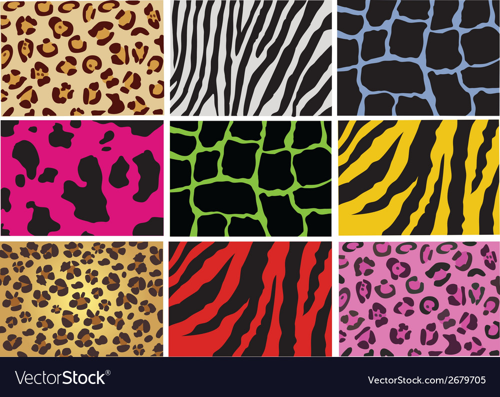 Animal Print Pattern