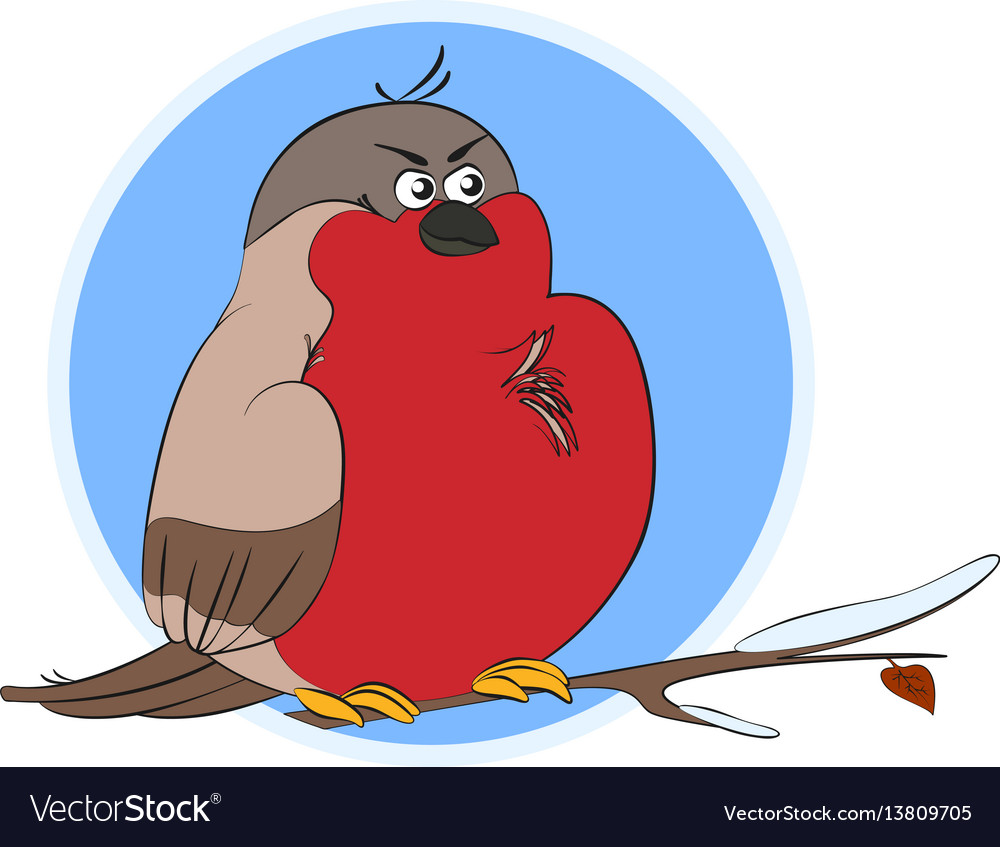 Bullfinch ein lustiger Vogel auf Zweig bedeckt