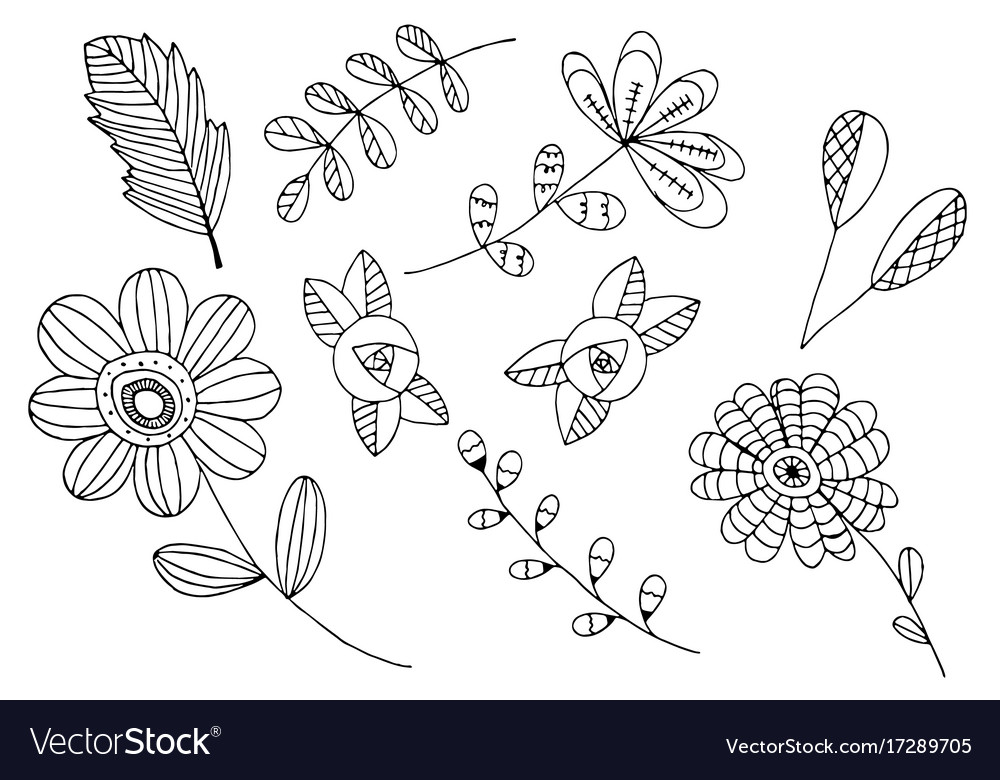 Hand drawn of wild flowers isolated on white