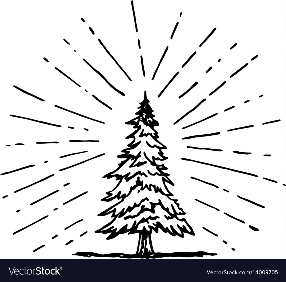 Pine trees freehand drawing 30933626 PNG