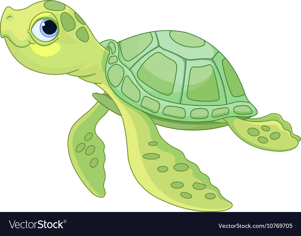 Sea turtle Royalty Free Vector Image - VectorStock