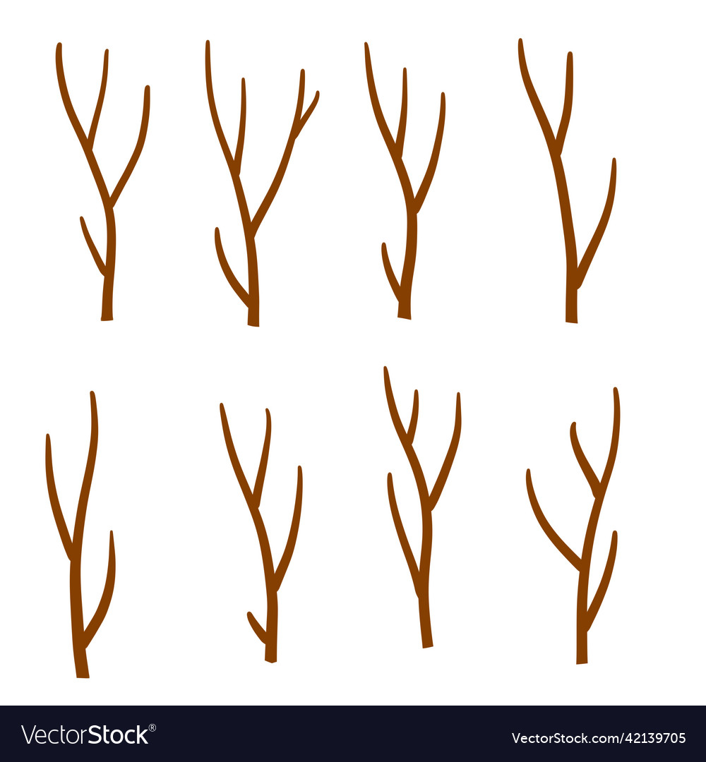 Tree branch set of different brown sticks